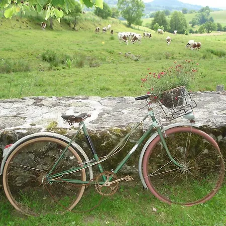 Chez Marraine Farm stay *