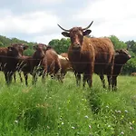 Gospodarstwo agroturystyczne Chez Marraine Sauvat