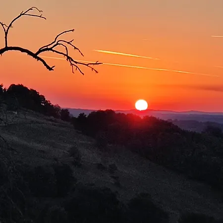 Chez Marraine * Sauvat