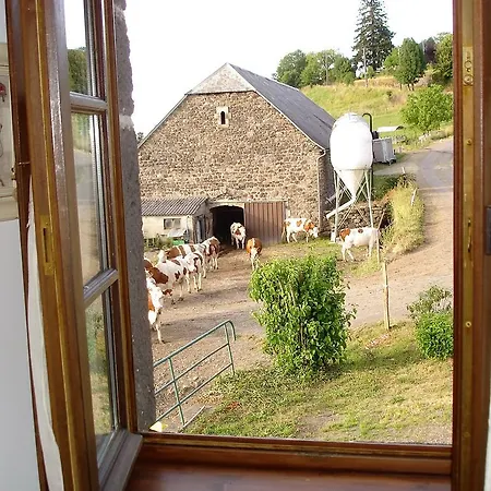 Gospodarstwo agroturystyczne Chez Marraine Sauvat