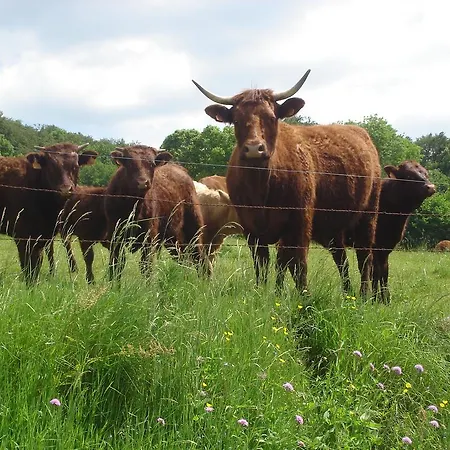 Agroturismo Chez Marraine Sauvat