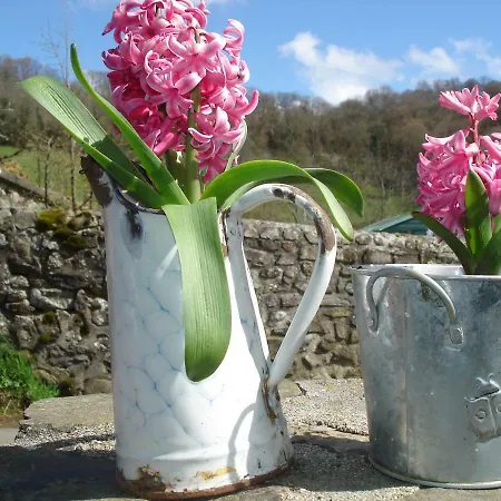 Chez Marraine Sauvat