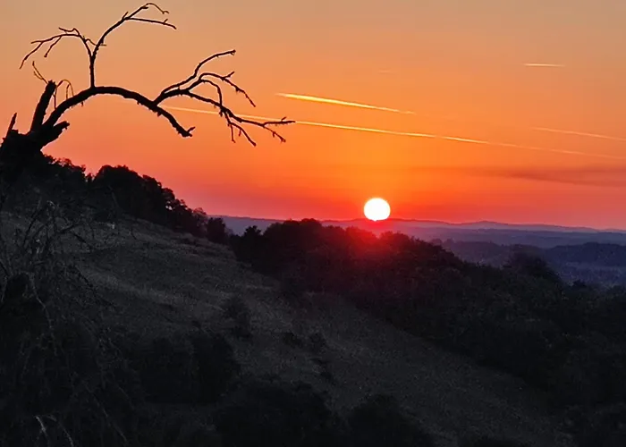 Chez Marraine * Sauvat