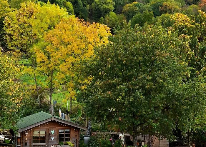 Фермерский дом Chez Marraine *