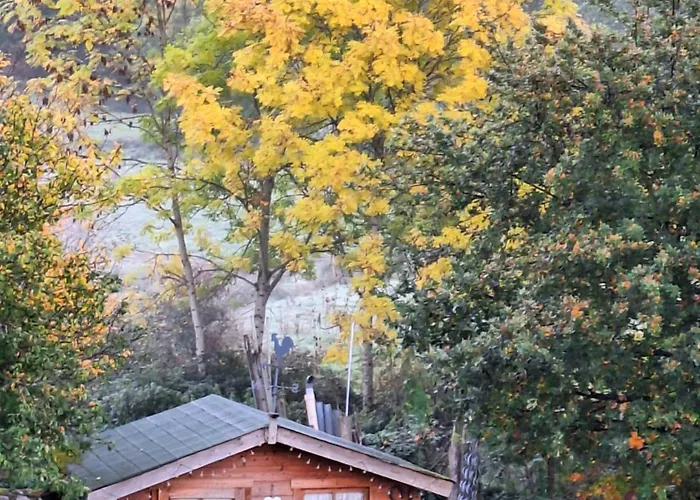 Chez Marraine Фермерский дом Sauvat