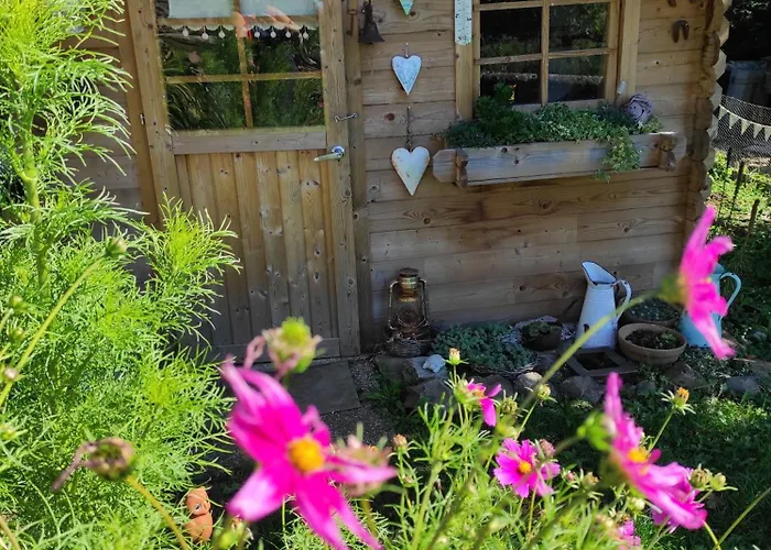 Фермерский дом Chez Marraine Sauvat