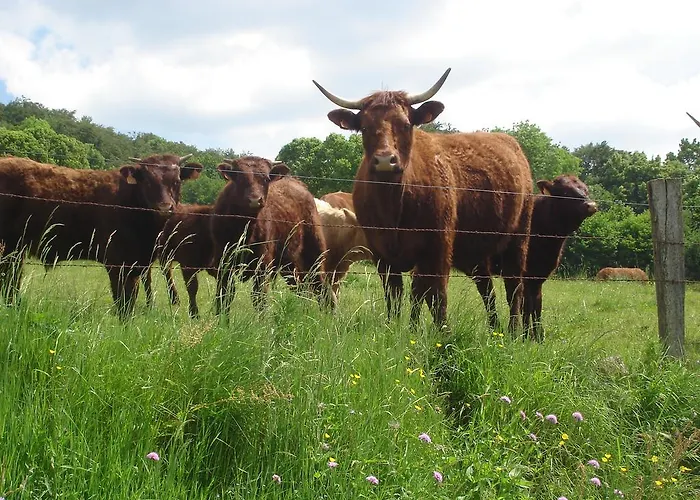 Фермерский дом Chez Marraine Sauvat