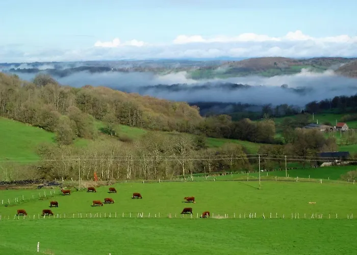 Chez Marraine * Sauvat