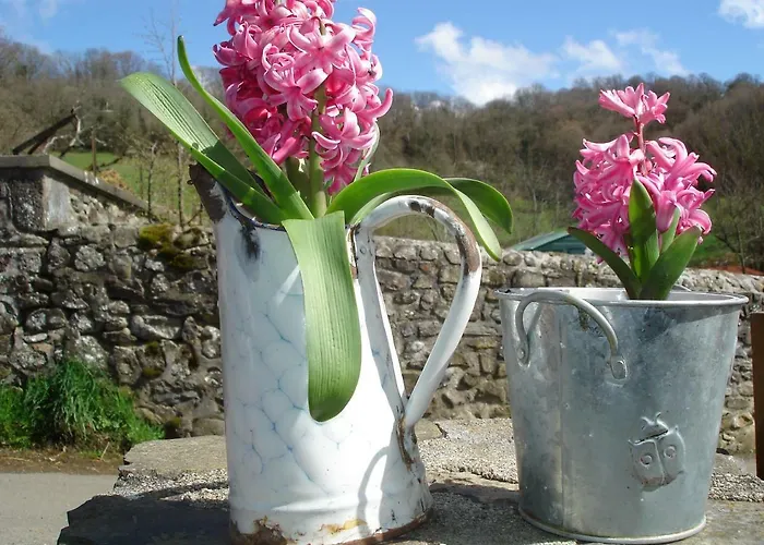 Chez Marraine Sauvat